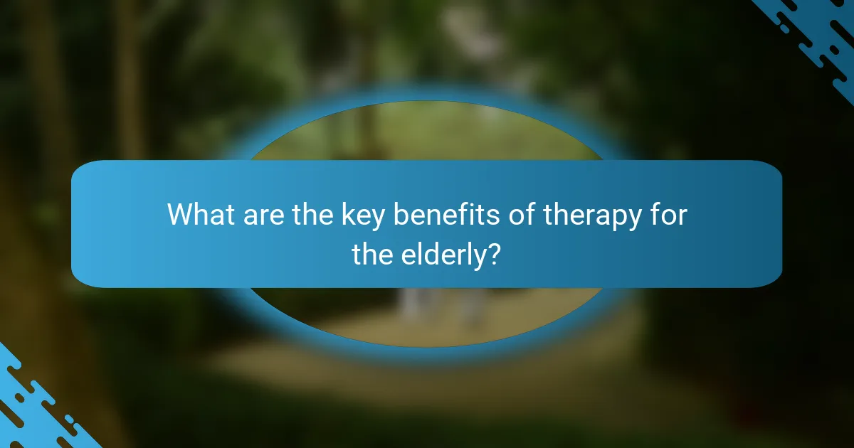 What are the key benefits of therapy for the elderly?