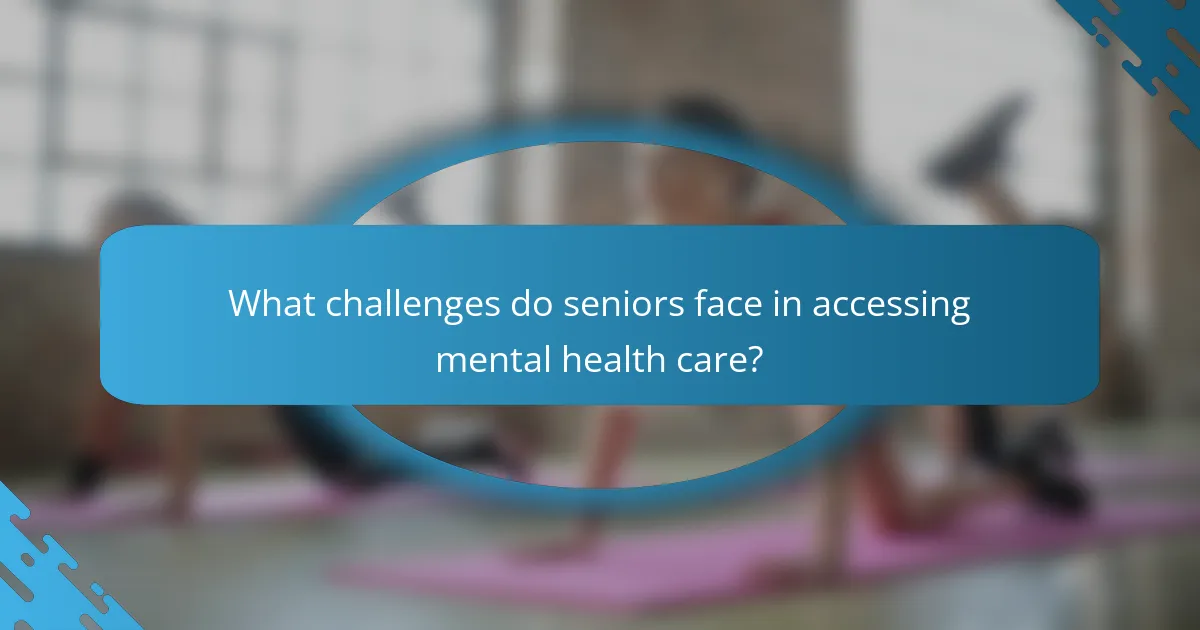 What challenges do seniors face in accessing mental health care?