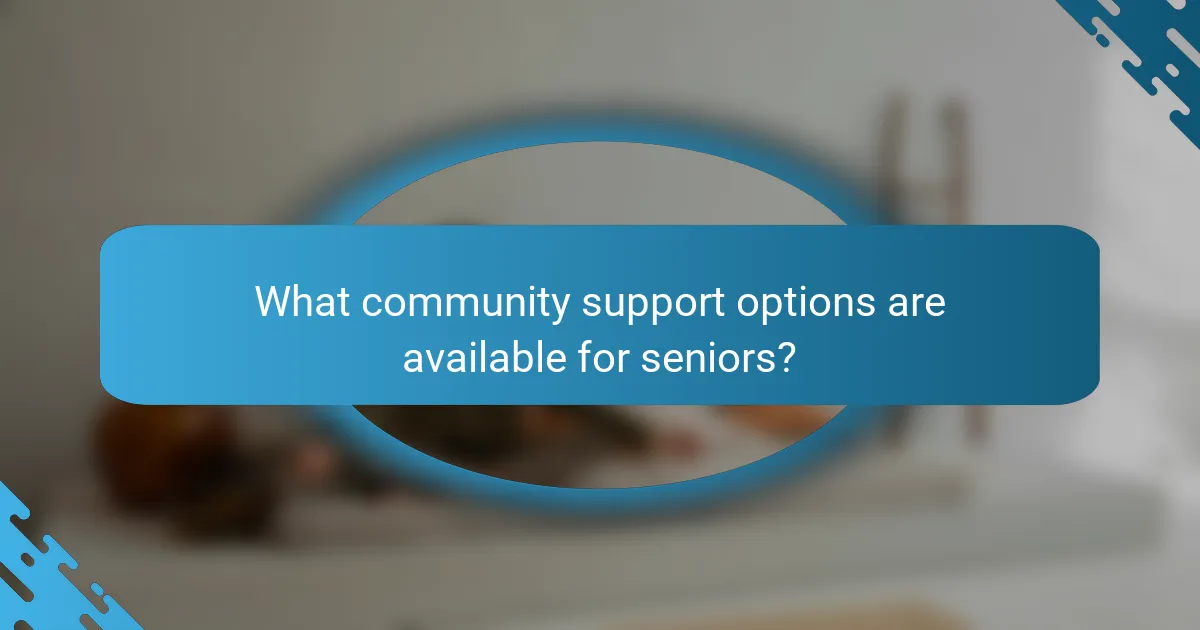 What community support options are available for seniors?