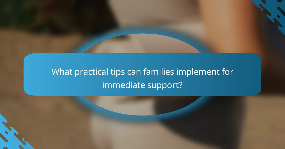 What practical tips can families implement for immediate support?