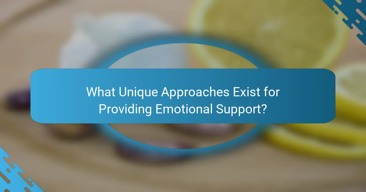 What Unique Approaches Exist for Providing Emotional Support?