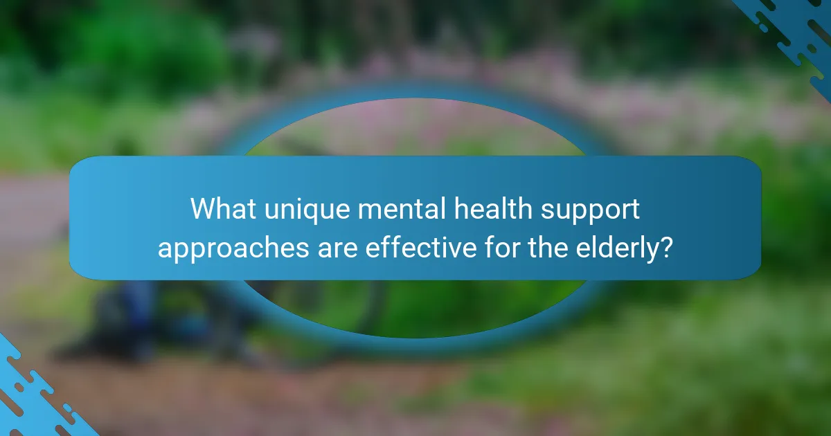 What unique mental health support approaches are effective for the elderly?